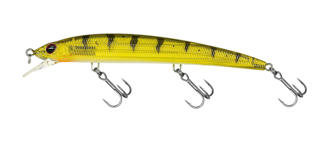 Molix Finder Jerk EVO 125 F